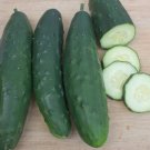 25 Seeds Olympian Cucumbers Planting Edible Food Canning Pickling Fresh For Garden