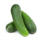 25 Seeds Niagara Cucumbers Planting Edible Food Fresh For Garden
