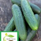 25 Seeds Masterpiece Cucumbers Planting Edible Food Fresh For Garden