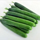 25 Seeds Lightening Cucumbers Planting Edible Food Fresh For Garden