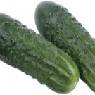 25 Seeds Kirby Cucumbers Planting Edible Food Fresh For Garden