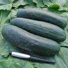 25 Seeds Jogger Cucumbers Planting Edible Food Fresh For Garden