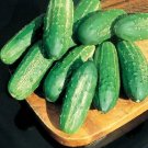 25 Seeds Intimidator Cucumbers Planting Edible Food Fresh For Garden