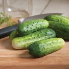 25 Seeds H19 Little Leaf Cucumbers Planting Edible Food Fresh For Garden 25 Seeds H19 Little Leaf Cucumbers Planting Edible Food Fresh For Garden