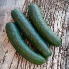 25 Seeds Genuine Cucumbers Planting Edible Food Fresh For Garden