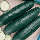 25 Seeds Fanfare Cucumbers Planting Edible Food Garden Fresh For Garden