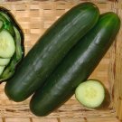 25 Seeds Dominator Cucumbers Planting Edible Food Garden Fresh For Garden