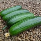 25 Seeds Diva Cucumbers Planting Edible Food Garden Fresh For Garden
