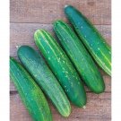 25 Seeds Diomede Cucumbers Planting Edible Food Garden Fresh For Garden