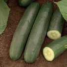 25 Seeds Darlington Cucumbers Planting Edible Food Garden Fresh For Garden