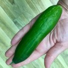25 Seeds Cucino Cucumbers Planting Edible Food Garden Fresh For Garden