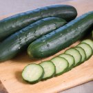 25 Seeds Corinto Cucumbers Planting Edible Food Garden Fresh For Garden