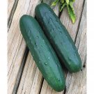 25 Seeds Cobra Cucumbers Planting Edible Food Garden Fresh For Garden