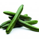 25 Seeds Camaro Cucumbers Planting Edible Food Garden Fresh For Garden