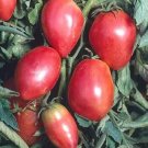 50 Seeds Grhovka Tomato Juicy Tomatoe Vegetable Garden Edible Fresh For Garden