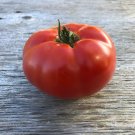 50 Seeds Gremlin Tomato Juicy Tomatoe Vegetable Garden Edible Fresh For Garden