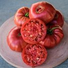 50 Seeds Granny Cantrells Tomato Juicy Tomatoe Vegetable Garden Edible Food Fresh For Garden