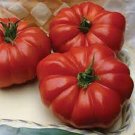 50 Seeds Grandmas Pick Tomato Juicy Tomatoe Vegetable Garden Edible Food Fresh For Garden