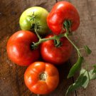 50 Seeds Grandeur Tomato Juicy Tomatoe Vegetable Garden Edible Food Fresh For Garden