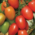 50 Seeds Grandero Plum Tomato Juicy Tomatoe Vegetable Garden Edible Food Fresh For Garden