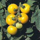 50 Seeds Golden Sunburst Tomato Juicy Tomatoe Vegetable Garden Edible Food Fresh For Garden