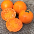 50 Seeds Golden Delight Tomato Juicy Tomatoe Vegetable Garden Edible Food Fresh For Garden