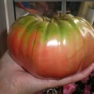 50 Seeds German Queen Tomato Juicy Tomatoe Vegetable Garden Edible Food Fresh For Garden