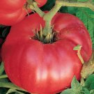 50 Seeds German Johnson Pink Tomato Juicy Tomatoe Vegetable Garden Edible Food Fresh For Garden