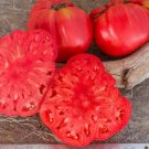 50 Seeds German Giant Tomato Juicy Tomatoe Vegetable Garden Edible Food Fresh For Garden