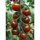 50 Seeds Garnet Tomato Juicy Tomatoe Vegetable Garden Edible Food Fresh For Garden