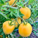 50 Seeds Garden Peach Tomato Juicy Tomatoe Vegetable Garden Edible Food Fresh For Garden