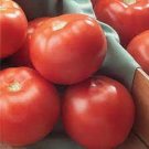 50 Seeds Fla 47R Tomato Juicy Tomatoe Vegetable Garden Edible Food Fresh For Garden