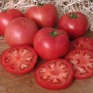 50 Seeds Fenda Tomato Juicy Tomatoe Vegetable Garden Edible Food Fresh For Garden