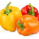 25 Seeds Mixed Bell Sweet Pepper Garden Vegetables Planting Edible Food Fresh For Garden 25 Seeds Mixed Bell Sweet Pepper Garden Vegetables Planting Edible Food Fresh For Garden