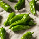 25 Seeds Melrose Pepper Garden Vegetables Planting Edible Food Fresh For Garden