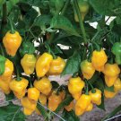 25 Seeds Trinidad Perfume Pepper Garden Vegetables Planting Edible Food Fresh For Garden
