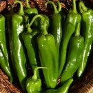 25 Seeds Sonora Chile Pepper Garden Vegetables Planting Edible Food Fresh For Garden
