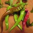 25 Seeds Italian Long Hots Pepper Garden Vegetables Planting Edible Food Fresh For Garden