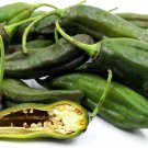 25 Seeds Ají Panca Pepper Garden Vegetables Planting Edible Food Fresh For Garden