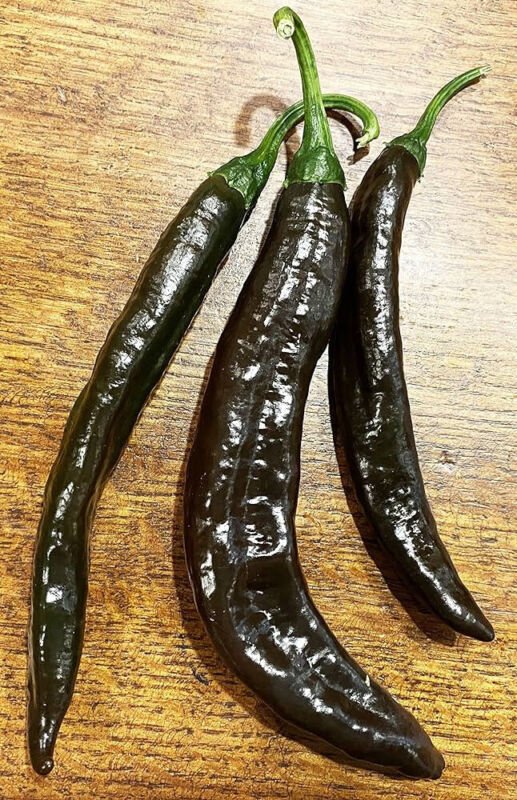 25 Seeds Chilaca Pepper Garden Vegetables Planting Edible Food Fresh For Garden