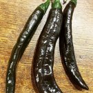 25 Seeds Chilaca Pepper Garden Vegetables Planting Edible Food Fresh For Garden