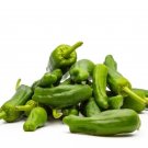 25 Seeds Padron Pepper Garden Vegetables Planting Edible Food Fresh For Garden 25 Seeds Padron Pepper Garden Vegetables Planting Edible Food Fresh For Garden