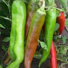 25 Seeds Numex Big Jim Pepper Garden Vegetables Planting Edible Food Fresh For Garden 25 Seeds Numex Big Jim Pepper Garden Vegetables Planting Edible Food Fresh For Garden