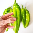 25 Seeds Hatch Chile Pepper Garden Vegetables Planting Edible Food Fresh For Garden
