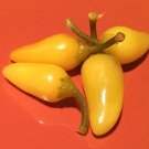 25 Seeds Cascabella Pepper Garden Vegetables Planting Edible Food Fresh For Garden