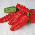 25 Seeds Aleppo Pepper Garden Vegetables Planting Edible Food Fresh For Garden