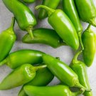 25 Seeds Jalapeño Pepper Garden Vegetables Planting Edible Food Fresh For Garden 25 Seeds Jalapeño Pepper Garden Vegetables Planting Edible Food Fresh For Garden