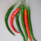 25 Seeds Kung Pao Pepper Garden Vegetables Planting Edible Food Fresh For Garden
