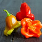 25 Seeds Bishop’S Crown Pepper Garden Vegetables Planting Edible Food Fresh For Garden