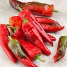 25 Seeds Barker’S Hot Pepper Garden Vegetables Planting Edible Food Fresh For Garden